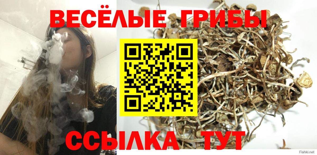 Псилоцибиновые грибы мухоморы  Вход с VPN  Конаково 